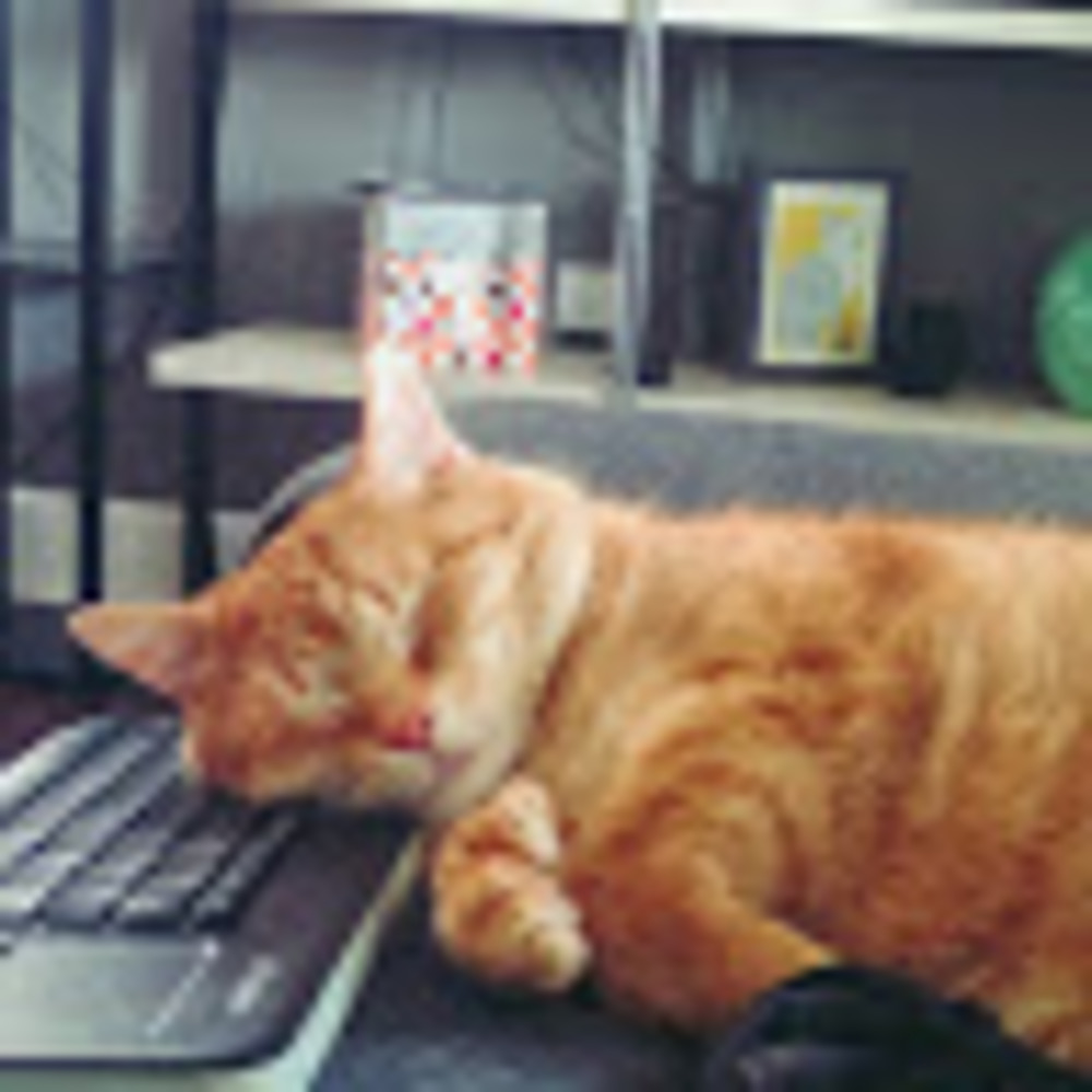 Meet your Posher, Sara